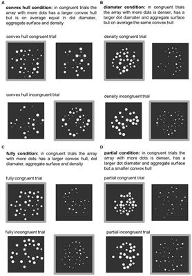 How learning influences non-symbolic numerical processing: effects of feedback in the dot comparison task
